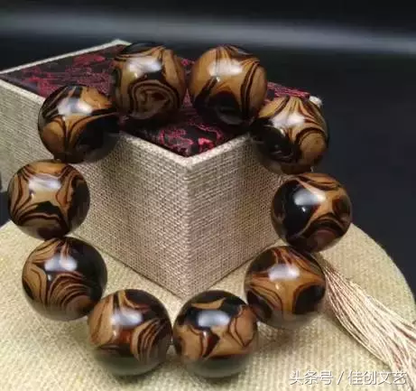 黒珊瑚的特性优点与盘玩保养