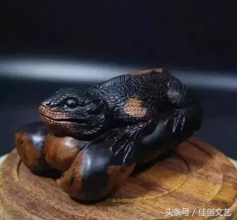 黒珊瑚的特性优点与盘玩保养