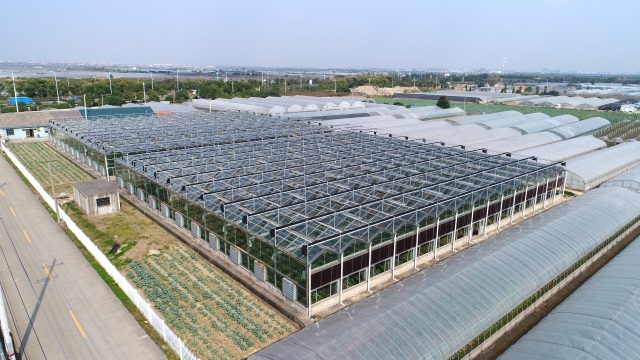 你好，我是逍林！