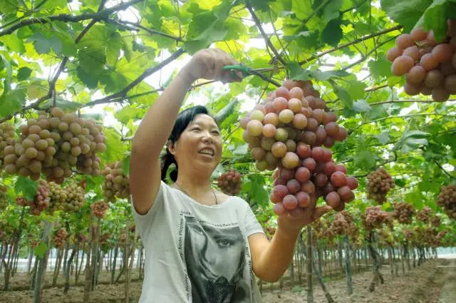 你好，我是逍林！