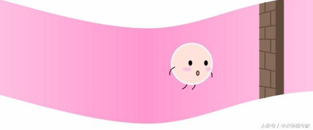 试管婴儿是怎么回事