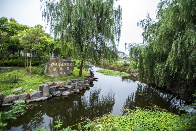 你好，我是逍林！