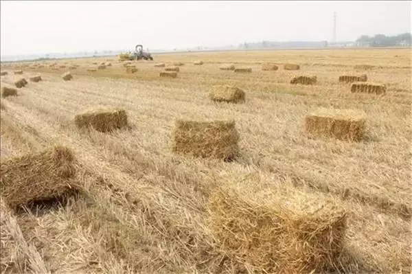 老司机手把手教你选购秸秆打捆机