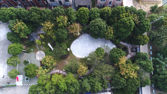 你好，我是逍林！