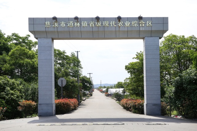 你好，我是逍林！