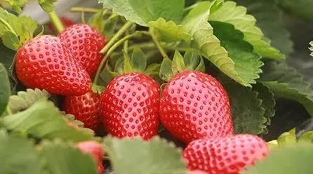 你好，我是逍林！