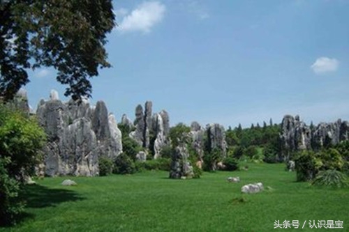 你吃过 有独特口味的胡柚吗？胡柚中有什么秘密，你知道吗？