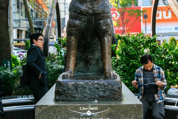 日本东京忠犬八公像为何如此受到游客青睐？曾经被感动的电影！