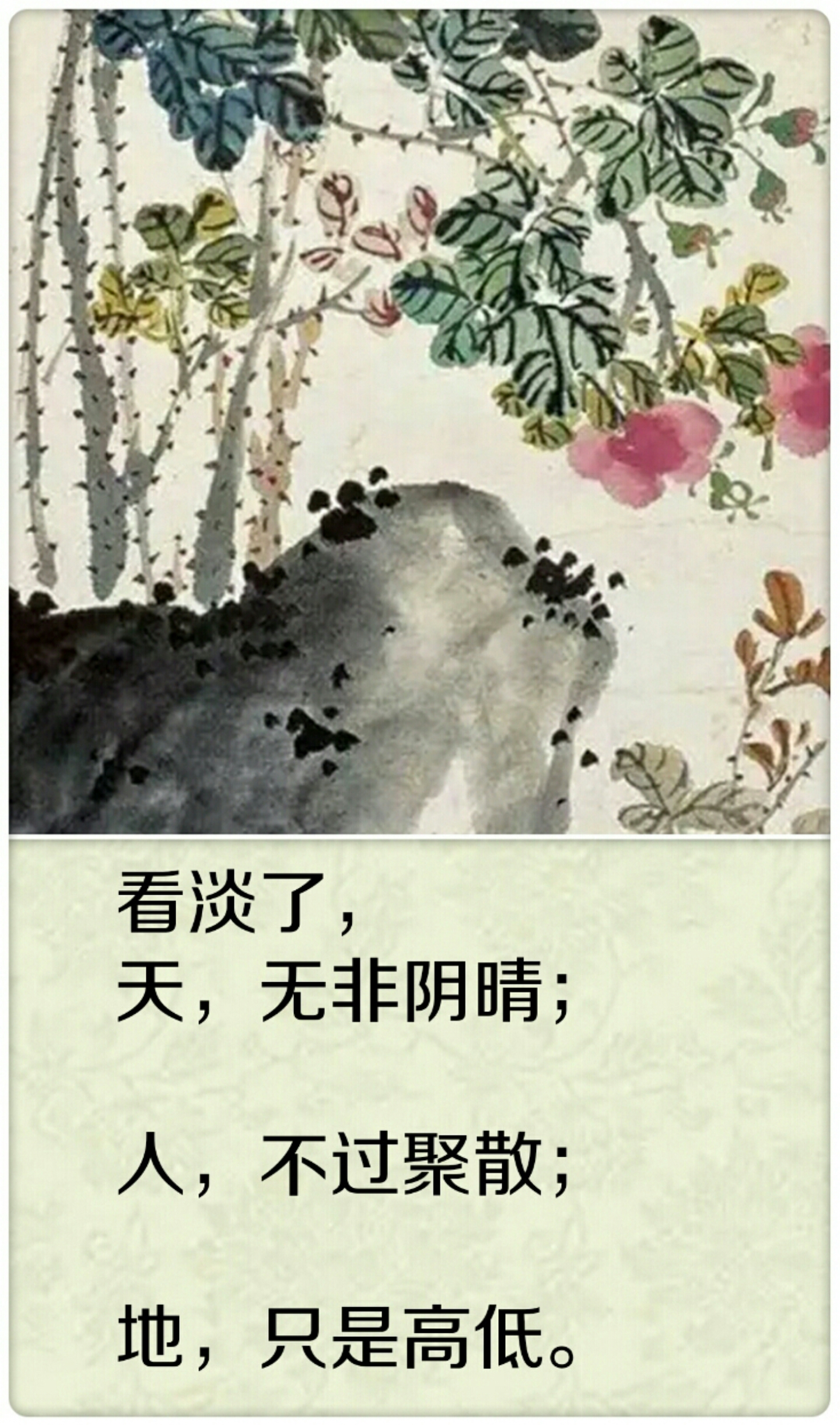 凡事太过，缘分必尽！句句经典