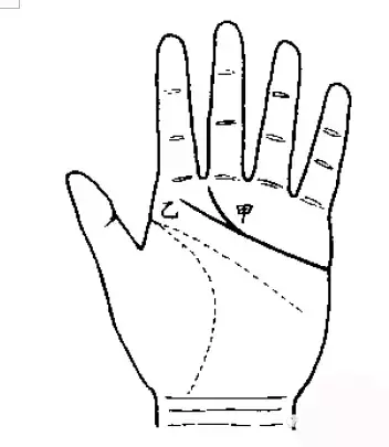 手相：感情线的5个方面看姻缘走向