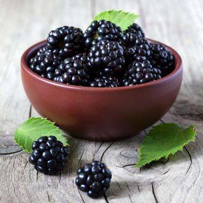 黑莓十大功效，黑莓的功效技作用有什么？