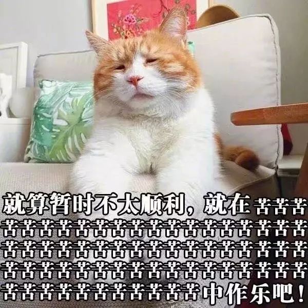 楚雄二手房,楚雄二手房出售信息查询