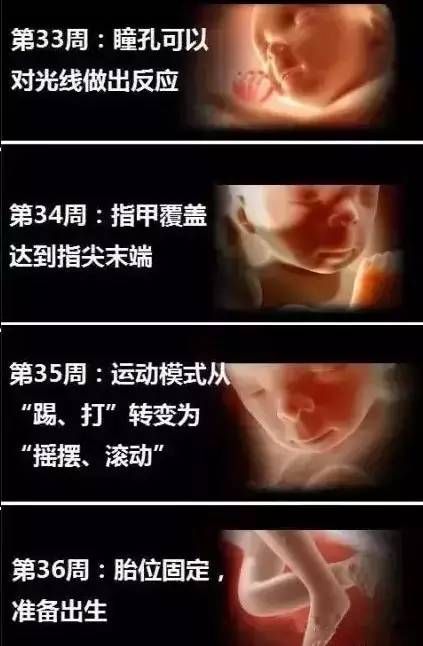 婴儿变化过程是什么样子的？