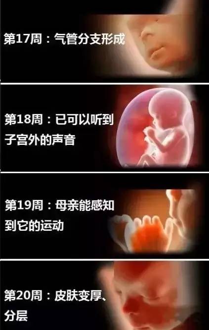 婴儿变化过程是什么样子的？