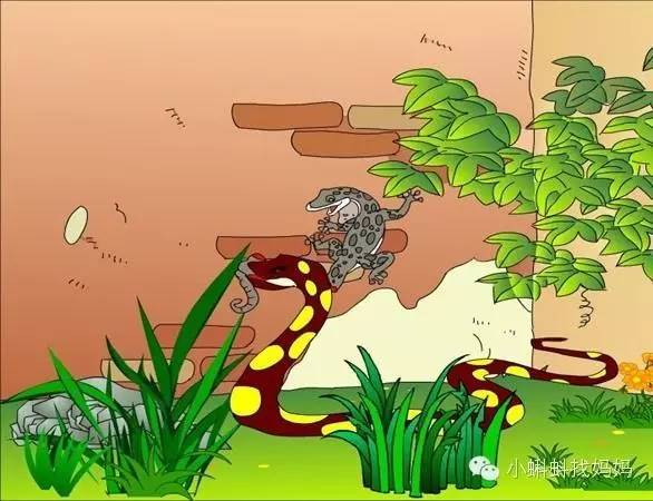 一天,小壁虎在墙角捉蚊子,一条蛇咬住了他的尾巴.