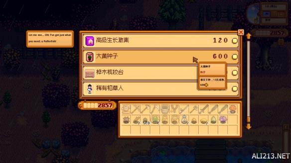 《星露谷物语 / 像素谷》挑战模式流程图文攻略