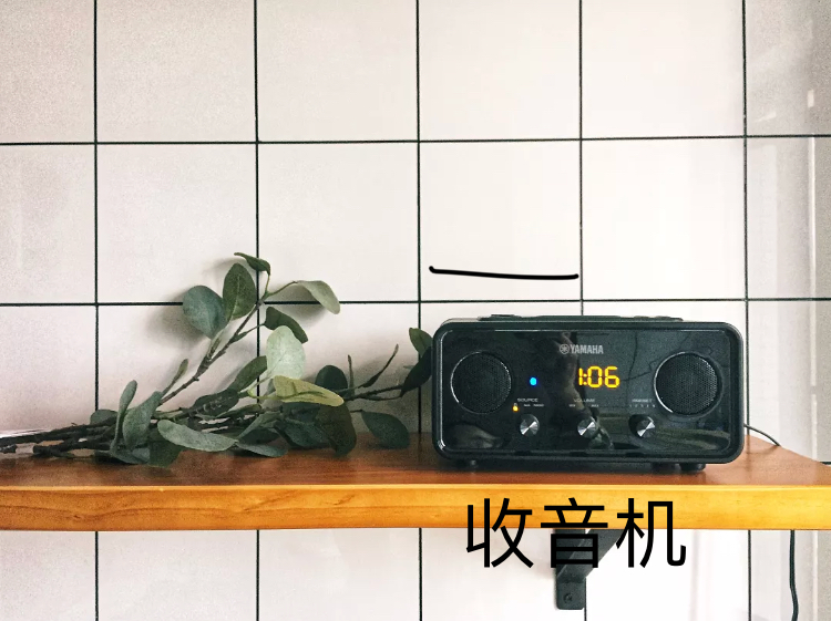 乔迁新居入伙送什么花（新居入伙 礼物）