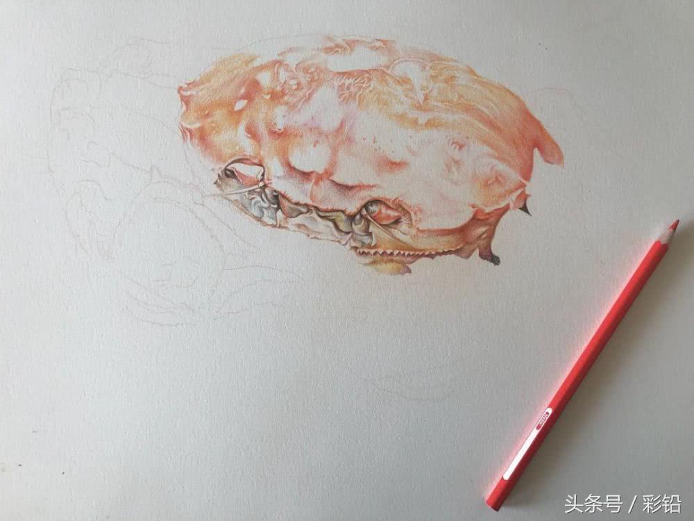 教你用彩铅画一只大螃蟹