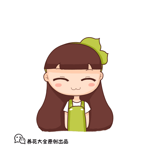 甲醛治理公司哪家好,我来告诉您!安全10