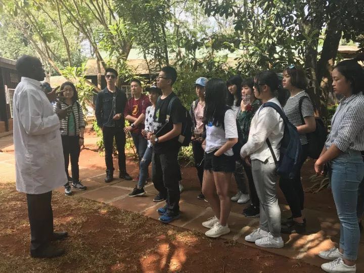 项目制学习为核心，集思学院要为15-27岁年轻人定位未来职业方向