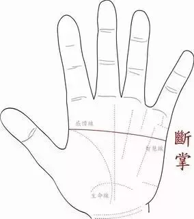 左手断掌富贵命!4中女人好命手相