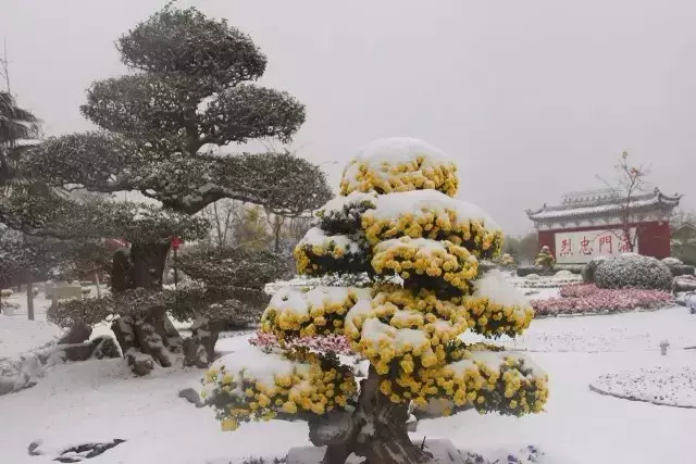 开封，一梦千年，繁花似云烟