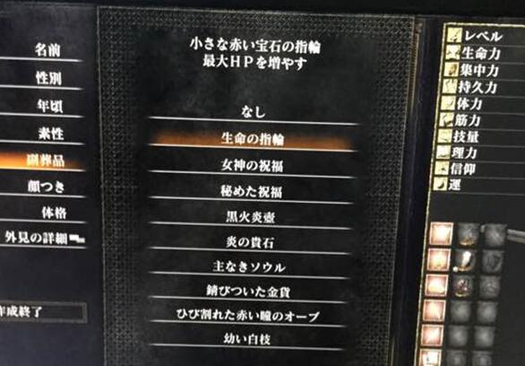 黑暗之魂3陪葬品选择技巧 陪葬品推荐视频