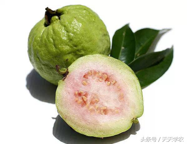 世界10大奇异水果，认识一半算你厉害！