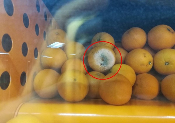 號稱“百分百無添加”自動售賣橙汁機 竟榨出“黑胡椒”橙汁？