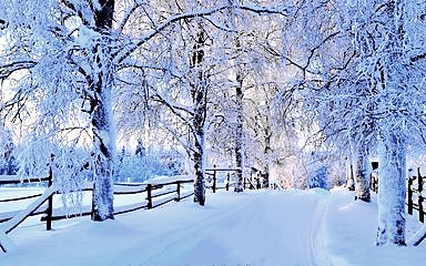 雨夹雪纷飞的冬日里，雪花与雨滴交织成一幅朦胧诗意的画面，漫步其中别有一番韵味。