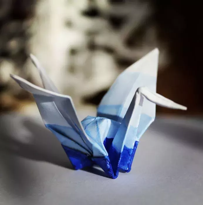 他用3个月时间,折叠了1000只千纸鹤,送给了他最亲爱的姑娘