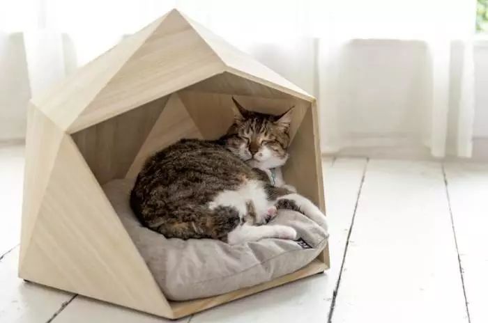 看了这些高端猫窝,才发现限制我想象力的不只是贫穷