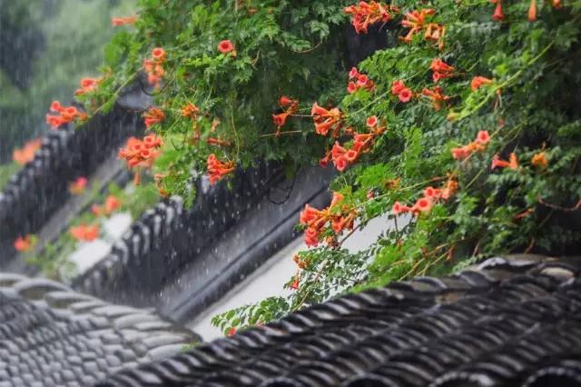 醉美人间四月雨（写得真美）