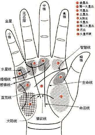 天天熬夜的，快看！手掌出现这样纹路，说明你的肝脏已严重受损！