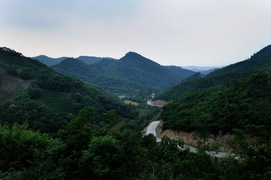 “绿林好汉”这个成语源自何处？