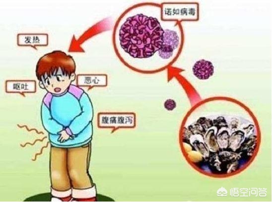 诺如病毒是什么病，诺如病毒的症状和治疗方法