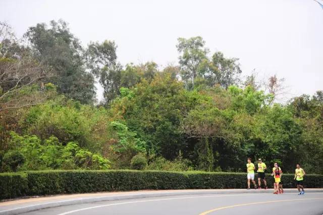 在大海里奔跑，把大海装进灵魂和胸膛