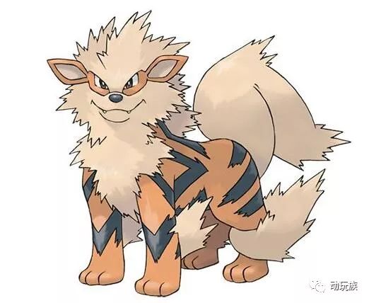 精灵宝可梦图鉴第91期——搜神记(53)波尔凯尼恩