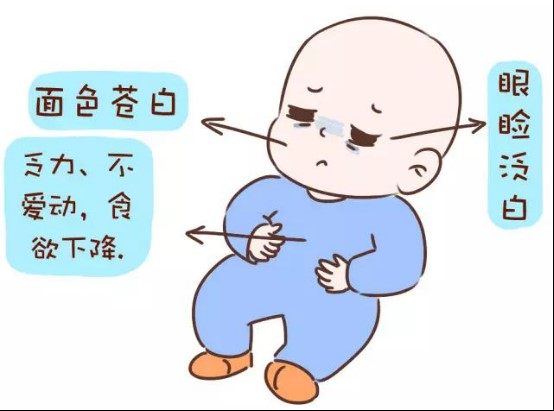 孕妇缺铁危害胎儿，孕妇吃什么补血效果最好