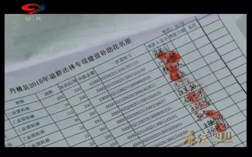 局长找人管9个小金库，还让整点“野味儿”