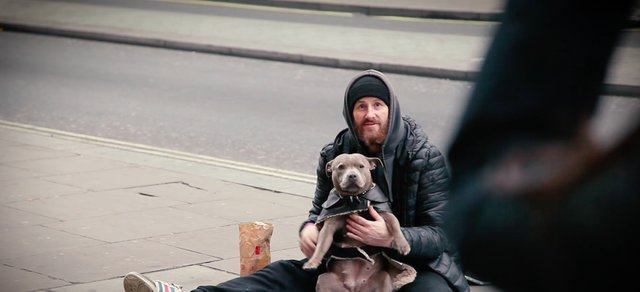 爱心人士在街头寻找流浪者的小狗，为它们穿上温暖的衣服