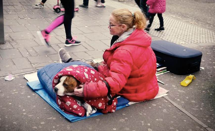 爱心人士在街头寻找流浪者的小狗，为它们穿上温暖的衣服
