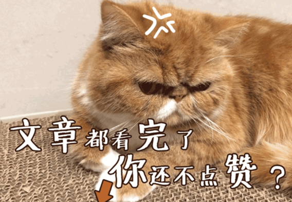 【营养测评】这次黑巧克力是我们的实验对象