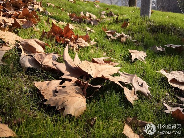 实力派！青年手机，荣耀V10手机体验