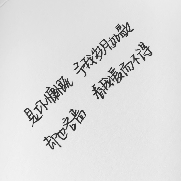 我在冬天守望另一个季节