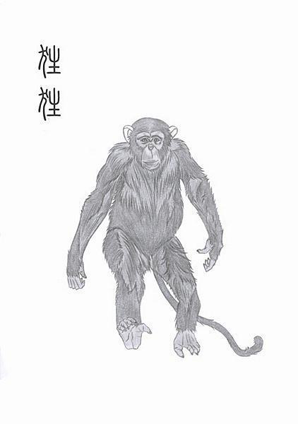 《山海经》里讲述的上古凶兽有哪些？