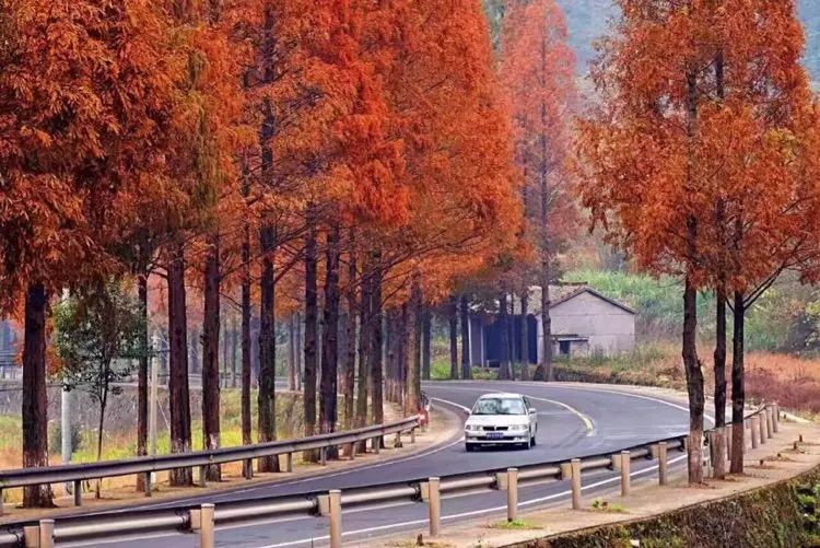 一年美出12种味道，这就是我大金华！今年的旅行计划小布都给你列好了