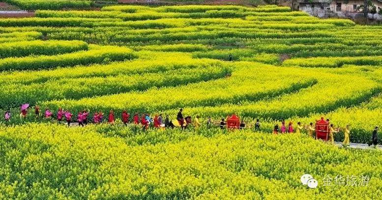 一年美出12种味道，这就是我大金华！今年的旅行计划小布都给你列好了