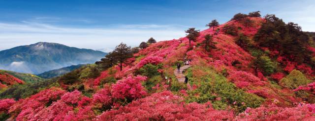 一年美出12种味道，这就是我大金华！今年的旅行计划小布都给你列好了