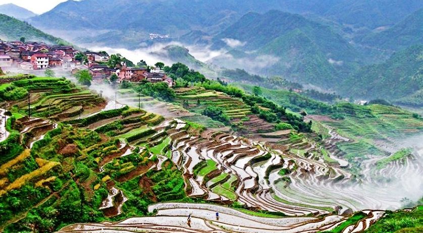一年美出12种味道，这就是我大金华！今年的旅行计划小布都给你列好了